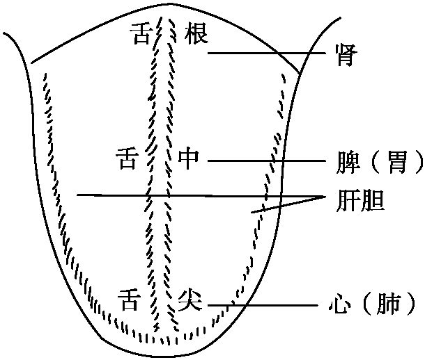 七、望舌